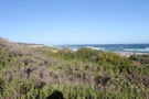Suedafrika_2 (58a).JPG